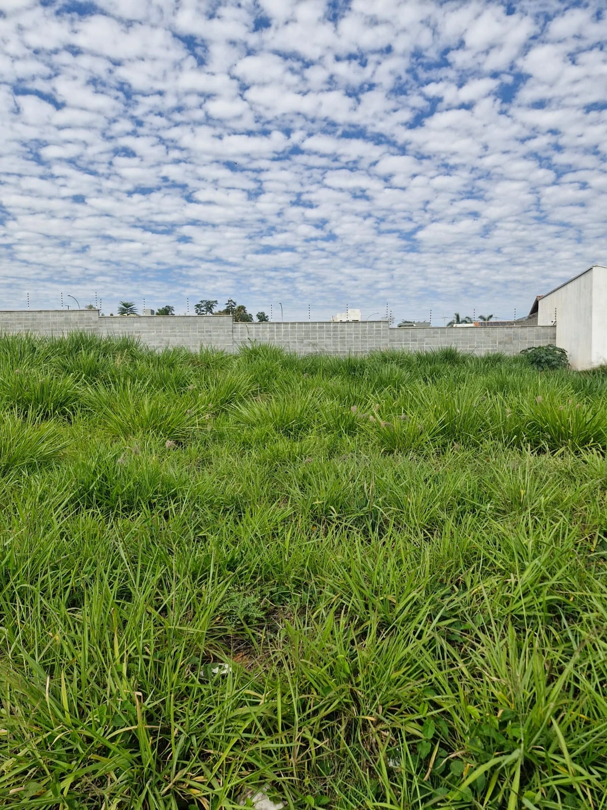 Terreno comercial com 380,02 m2