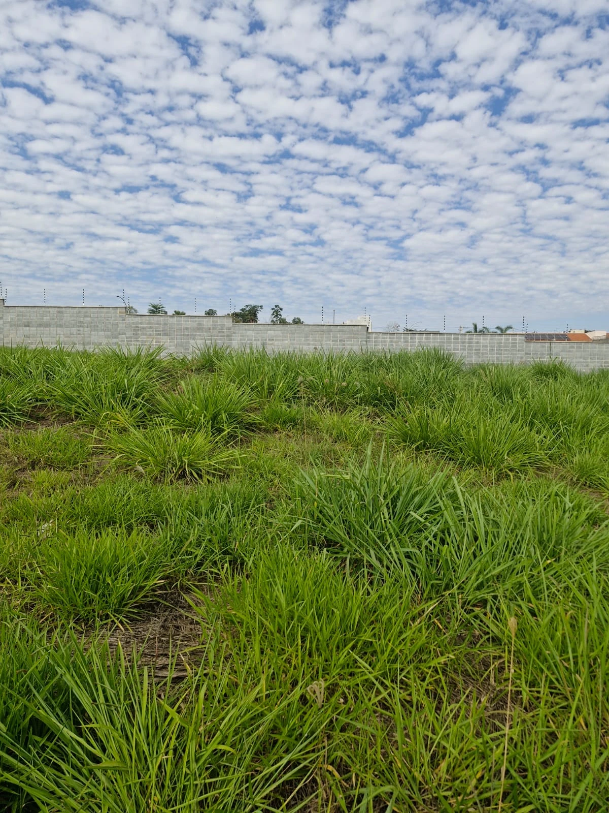 Terreno comercial com 380,02 m2
